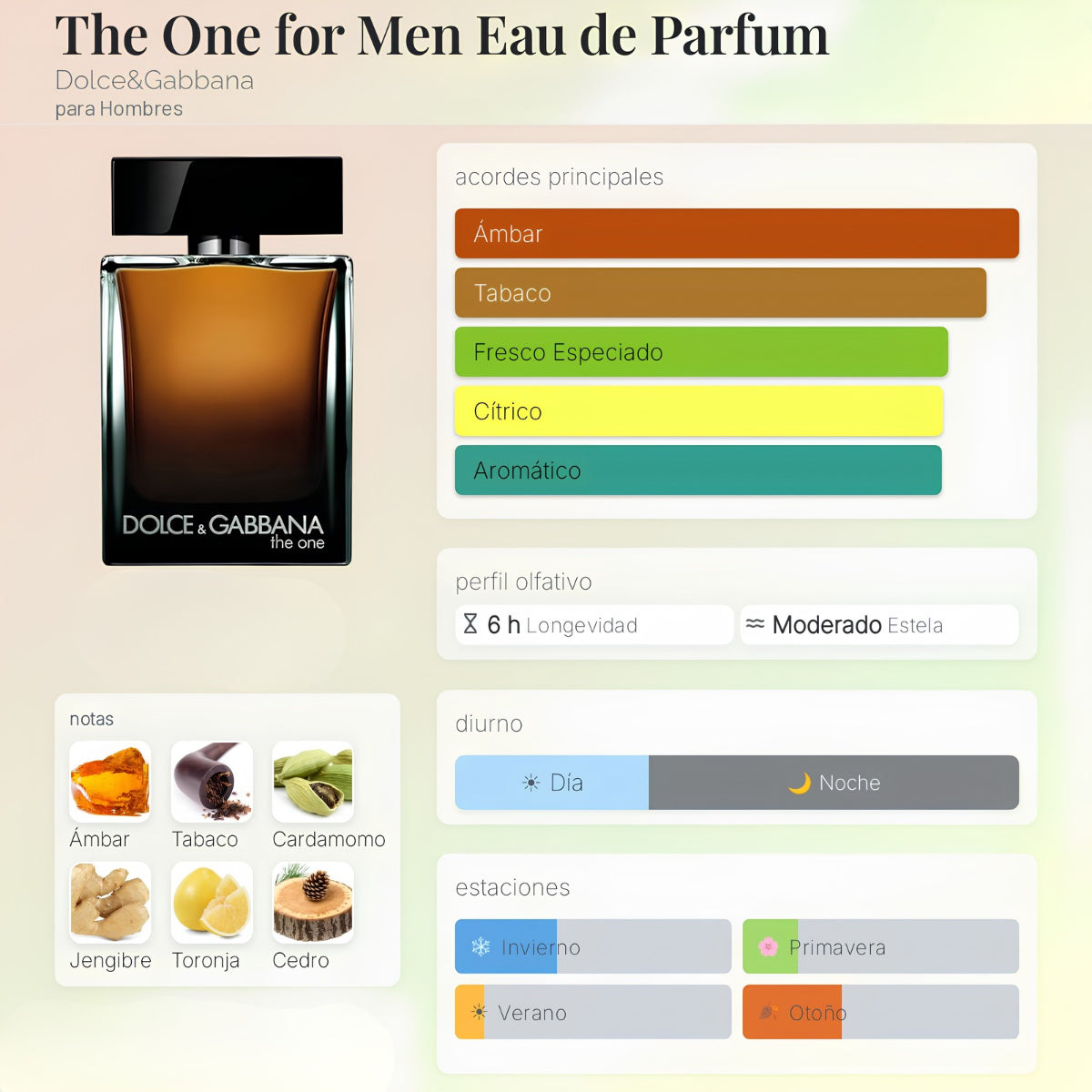 Dolce & Gabbana The One Pour Homme EDP - Decant