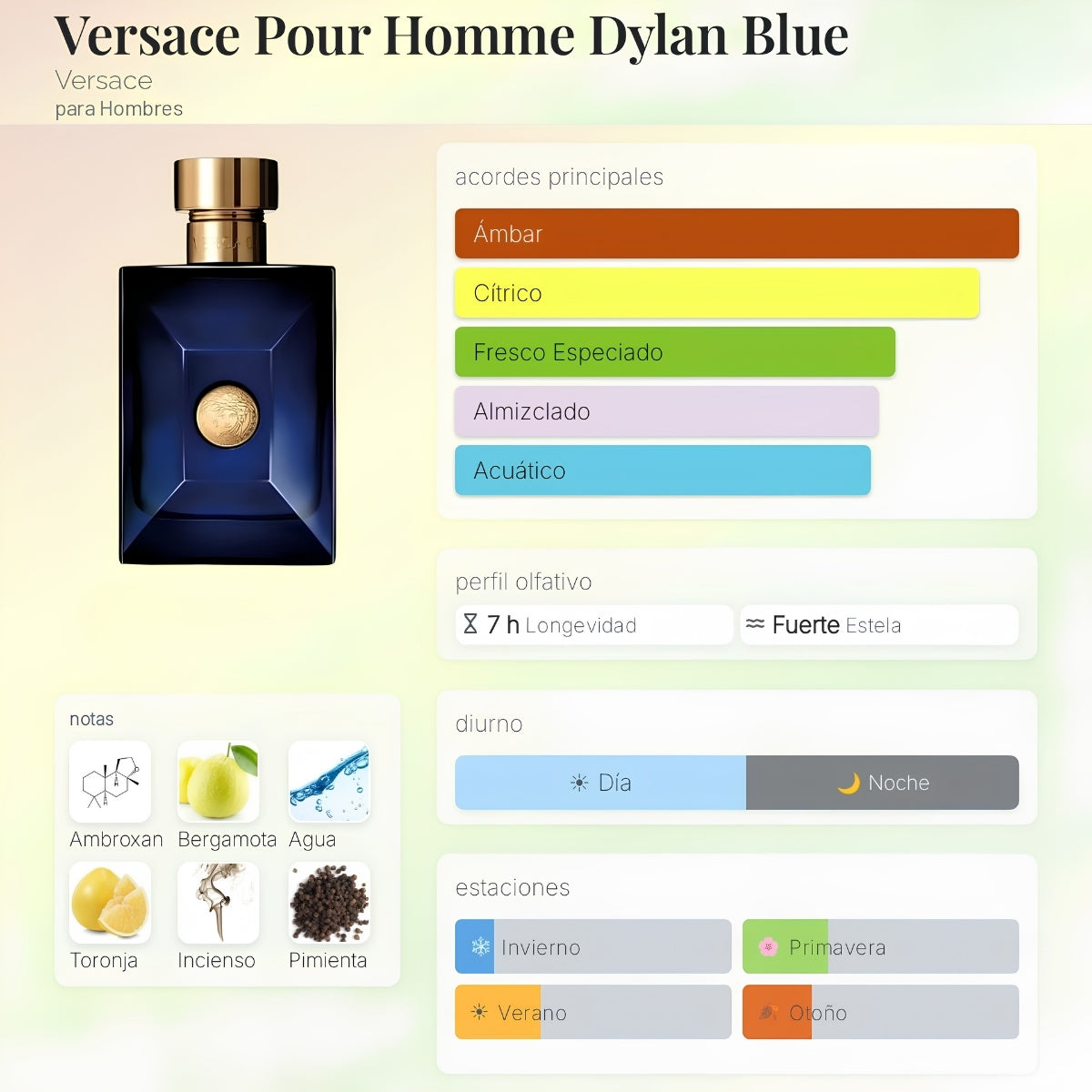 Versace Dylan Blue EDT - Decant